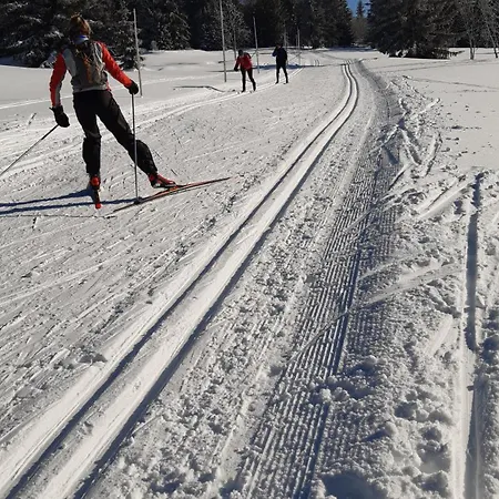 Blatenský House 393 - 3 Abertamy